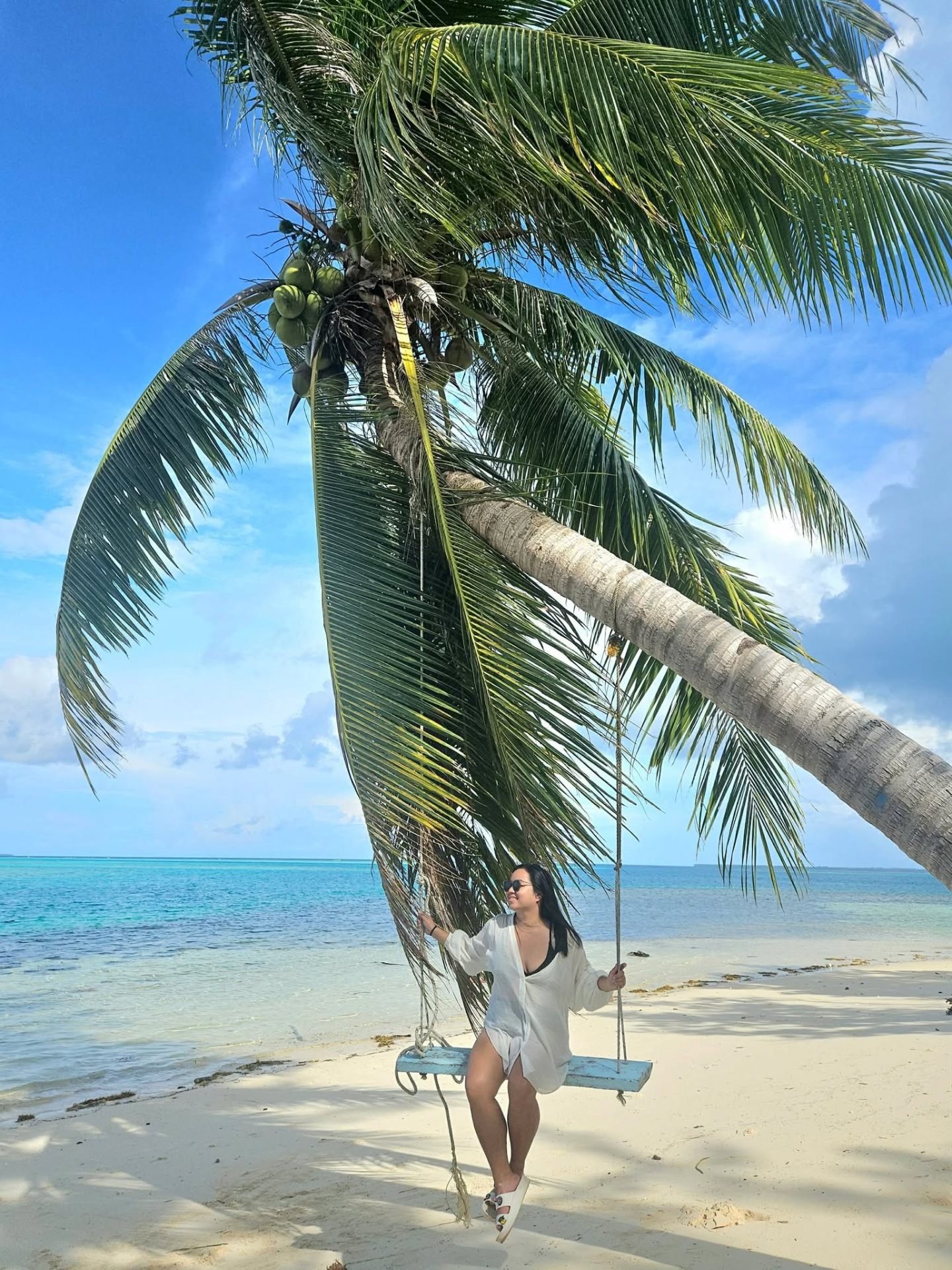 Palm tree swing over turquoise water